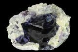 Purple-Blue Cubic Fluorite Crystals - Inner Mongolia #146932-1